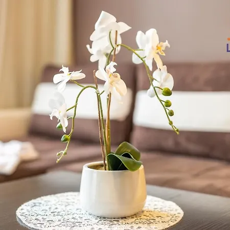 Apartmán Laba Diva Prywatny *